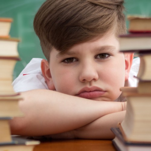 Difficulté scolaire : Frustration - pouvoir d’apprendre et peur de l’imaginaire