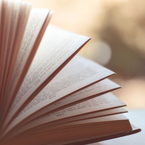 Meilleurs livres pour réussir le CRPE : notre sélection complète pour chaque épreuve